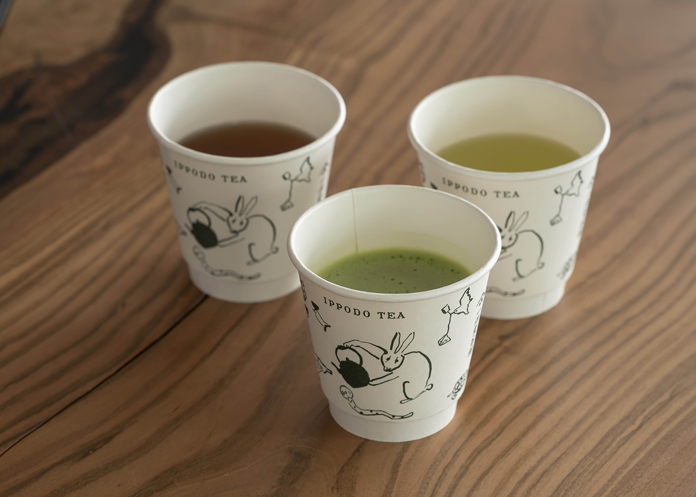 【イベント】12/13(土)・12/14(日) TOKYO COFFEE FESTIVAL 2025 Winter