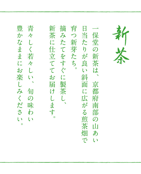 【5月23日発売】新茶・煎茶 正池の尾(小缶)